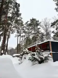 Лебяжье - 1