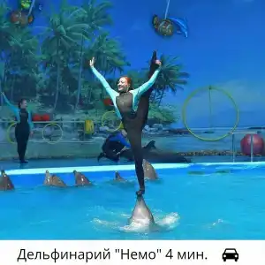 Дионис - 39