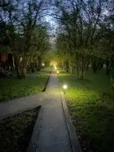 Горный источник - 25