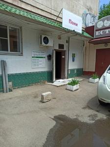 Пони - 22