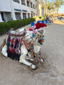 Sunny Days Palma De Mirette Resort & Spa - Families and couples only - 7