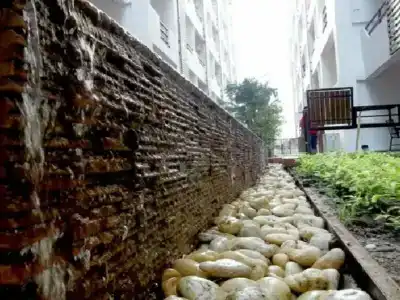 Star 3 Residence - 11