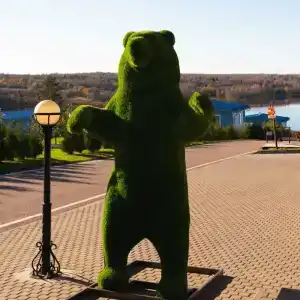 Медвежья Гора - 1