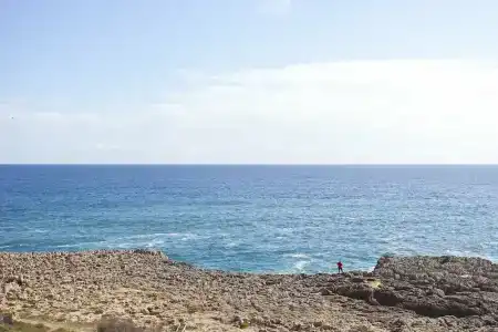 Pinomar - 8