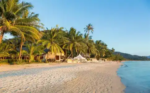 Top Resort - 2