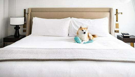 Kimpton - St Honoré Paris, An Ihg - 16