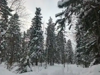 Кольский - 30