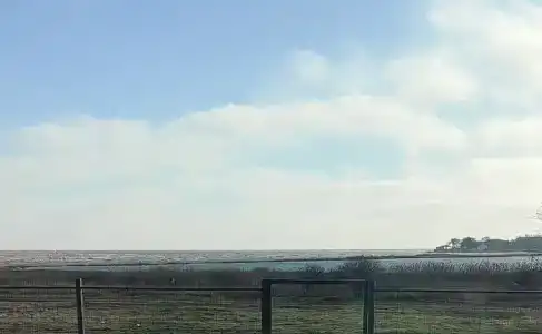 Сумахи - 4