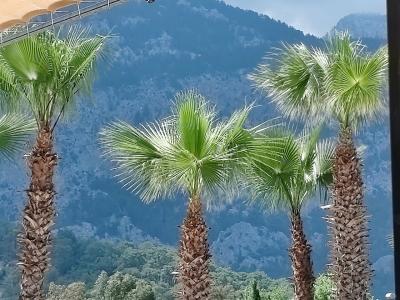 Larissa Garden Beldibi - All Inclusive - 25