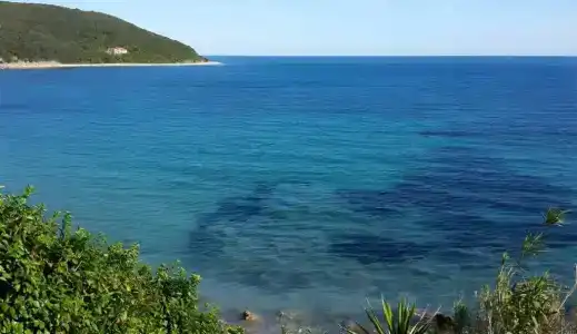Pfa - Isola d'Elba - 5