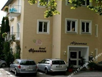 Alpenrose - 8