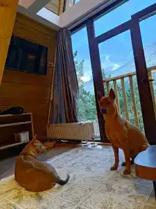 Nanook Inn - 1