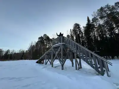 Энергетик - 39