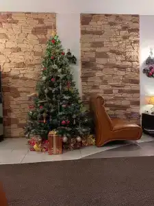 Сосновый Бор - 24
