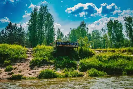 Таёжник - 42