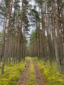 Дуплекс на Чудском озере - 12