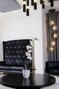 Atmosphere Suite - 43