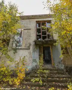 Дубки - 46