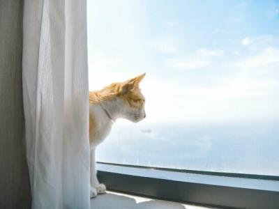 Four Points by Sheraton Danang - 26