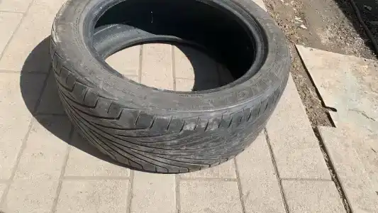 Фаворит - 4