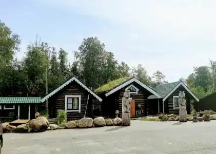 Онежский петроглиф - 31