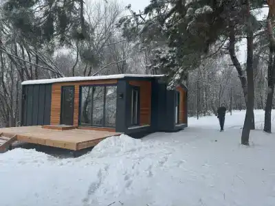 Чайка - 45