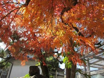 Ryokan Matsukaze - 2