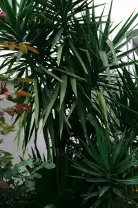 Oasis Eco-House - 45
