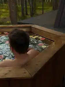 Сосновый бор - 18