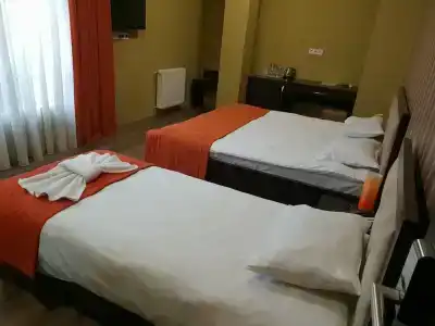 Вишневый сад - 29