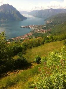Belvedere - 21
