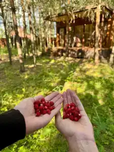 Skazka в Лесу - 48