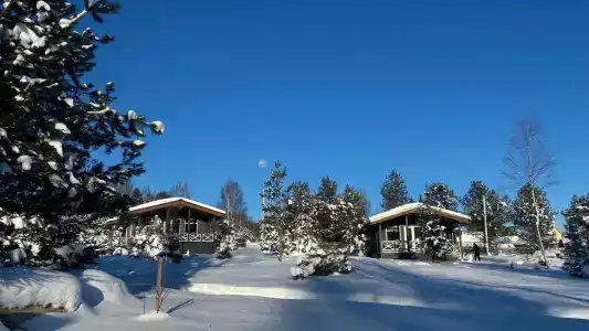 Федотовские дачи - 31