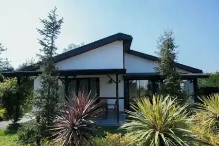 Sapanca Cayir Cimen - 17