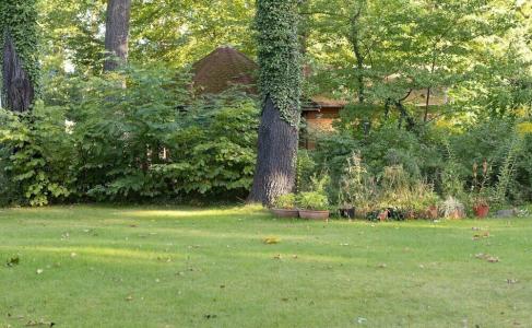 am Katharinenholz - 43