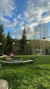 Лесная гармония - 31