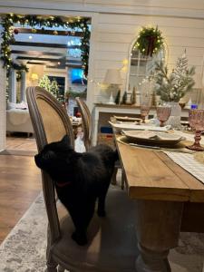 Васильевка - 42