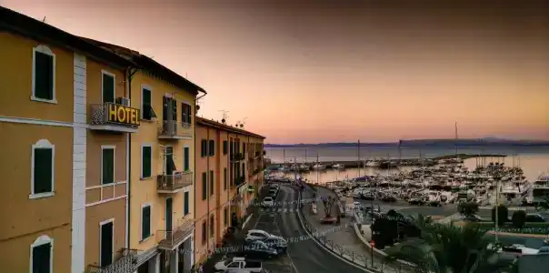 Alfiero - 6