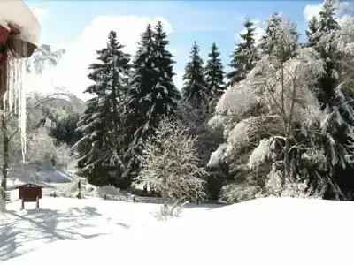 Bio-Zum Forsthaus - 1