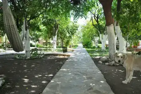 San Simon - 3