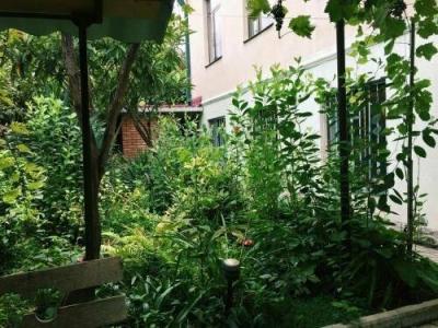 Guest House Mk - 14
