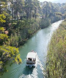 Golden Key Bordubet - 49