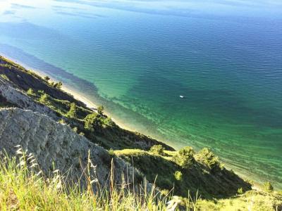 Cavalluccio Marino - 46