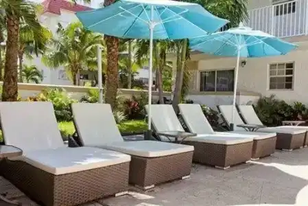 Coral Reef at Key Biscayne - 6