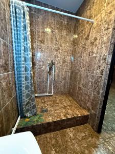 Голландия - 36