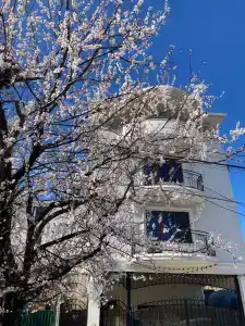 Комплимент - 30