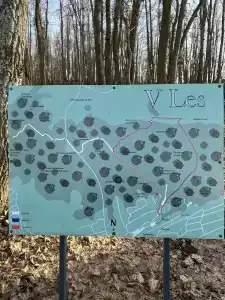 В Лес Афрейм - 14