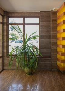 Apartment Musson - 16