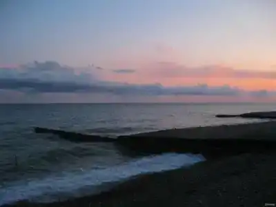 Calypso - 14