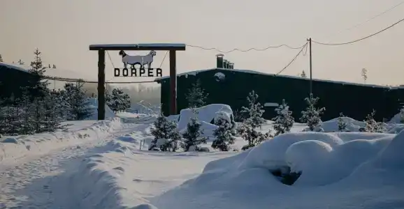 Дорпер-Фарм - 7